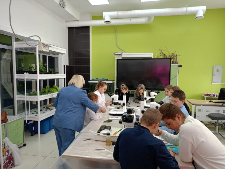 Занятие в региональном Центре выявления и поддержки одарённых детей "Солярис".