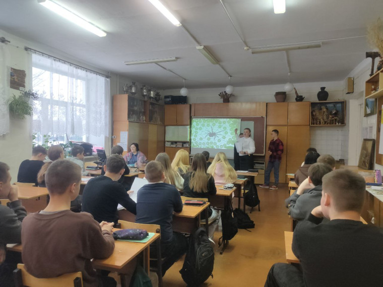 Игра-викторина «Паук» по профилактике употребления ПАВ и формированию здорового образа жизни.